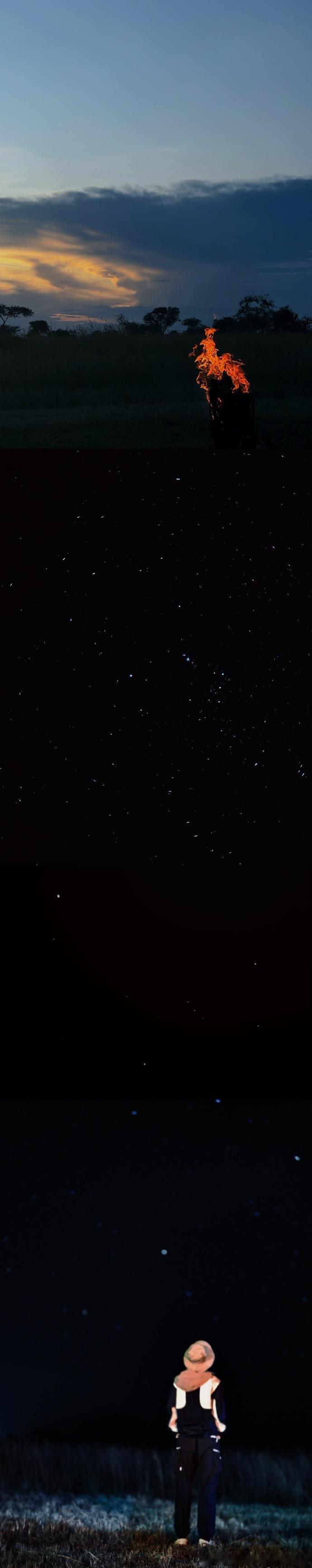 马嘉祺 金色旷野 偶遇夜间独行的薮猫后写下观察笔记，从皮毛纹路到瞳孔收缩都记录在