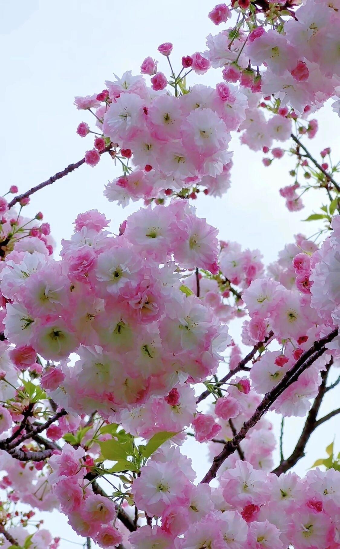 记录我的2026总感觉到我们的寒假设计的非常不合理。最冷的天气3949还在上学而