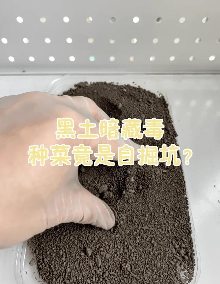 标题：从毒土到诈骗电话，我们的安全感到底被谁“偷”走了？

最近，网购低价营养土