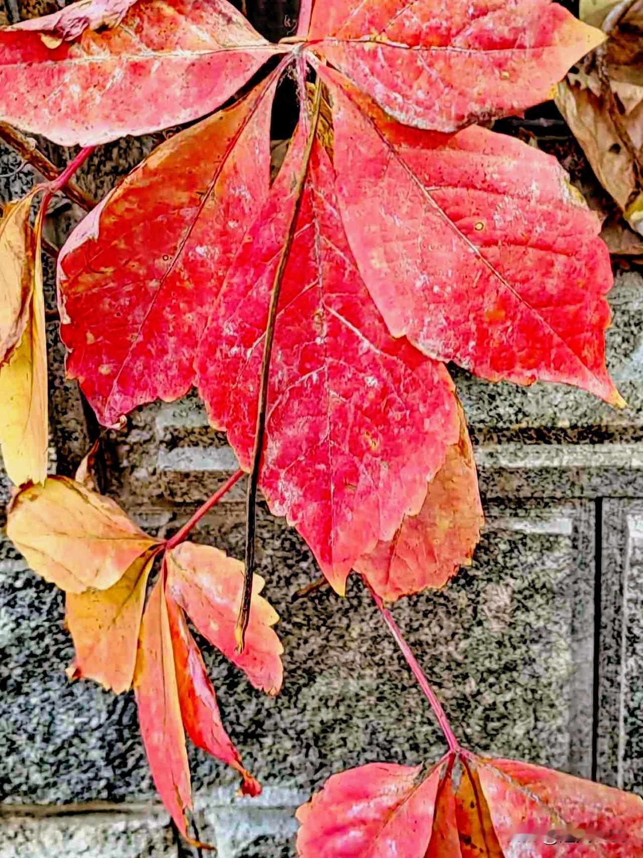 我的今日状态：😁轻松愉快
我这里的天气：☀️晴天

又是新的一天，
每天的太阳