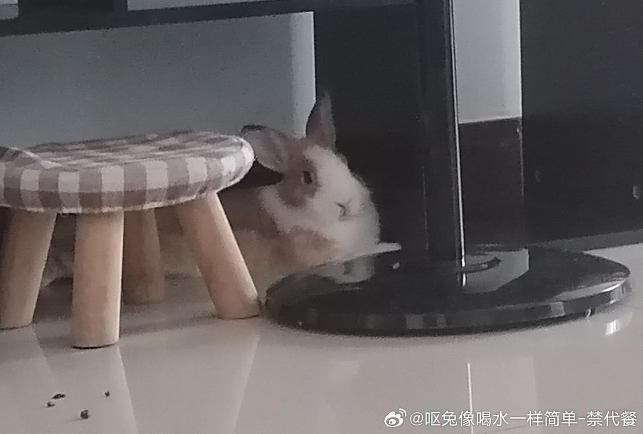 14526🐇【心灵丑】给人抓伤后肇事逃逸 