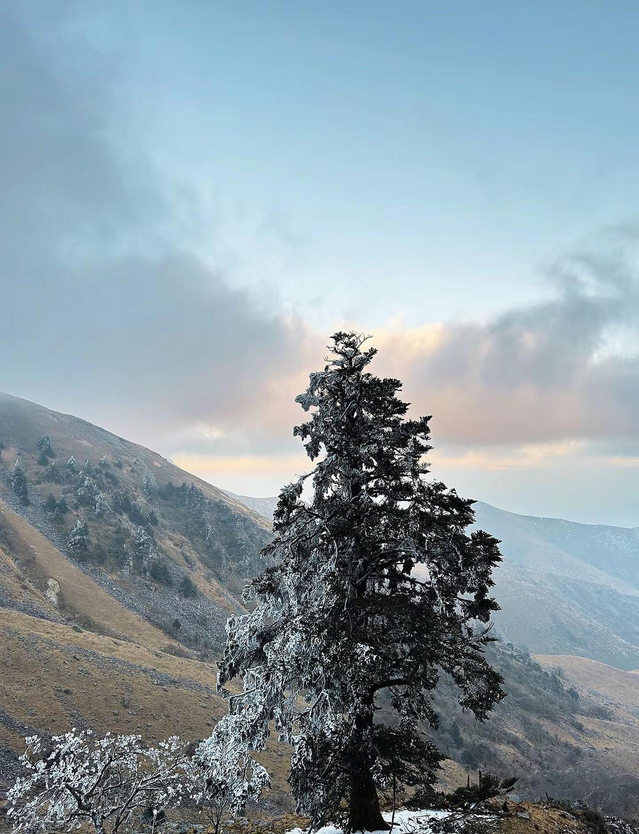 元旦俄尔则俄小相岭 开启招募了 小相岭