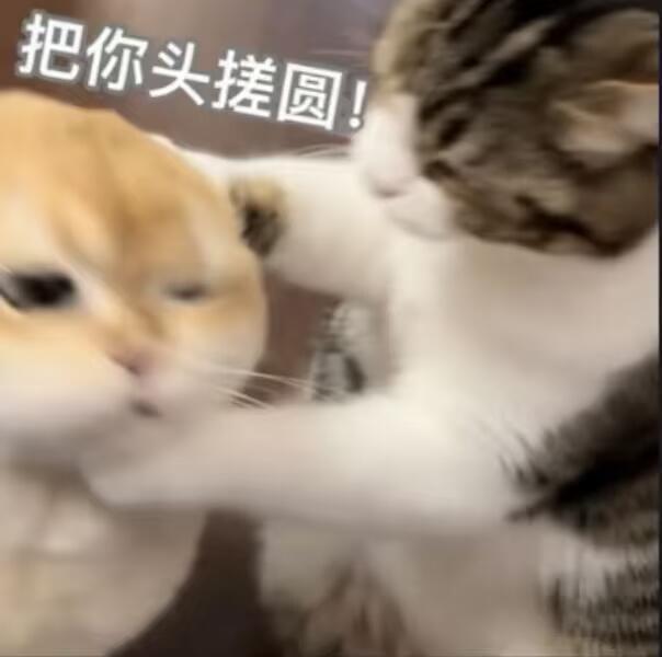 吴宣仪爱上另一个我wxy吴宣仪 这就是昨天的超莱客和发萜还有今天的超喜欢底数了哟