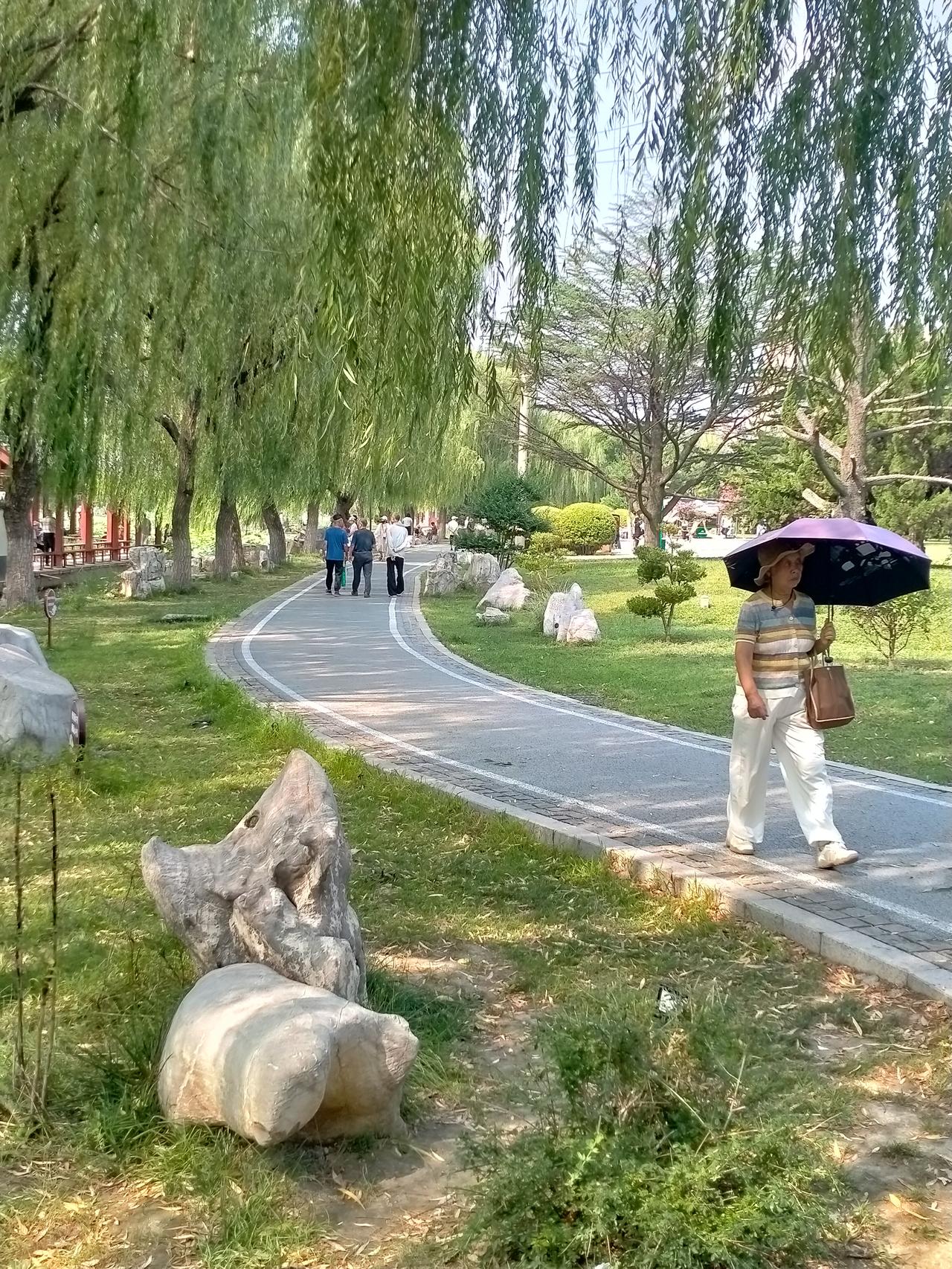 风摇竹韵诗情动，
春雨吻柳添画意。