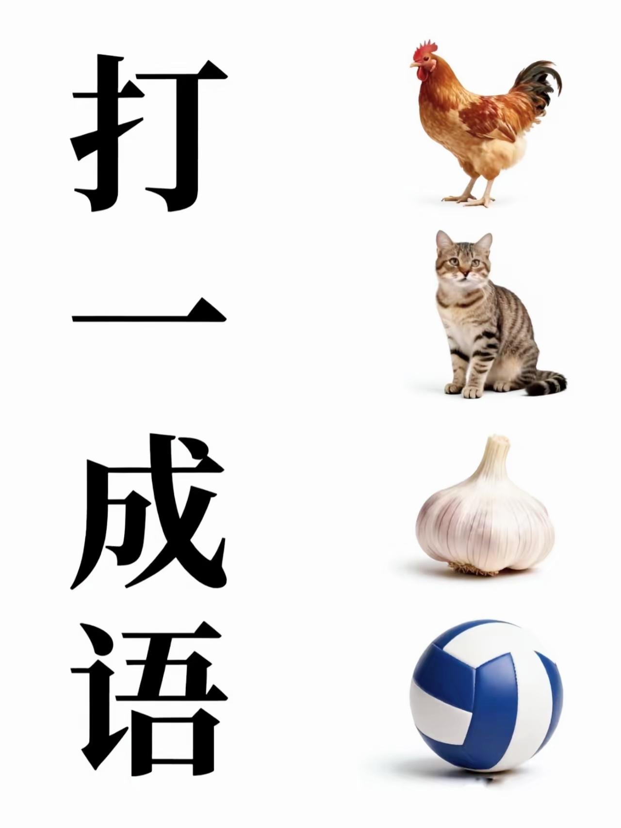 鸡、猫、蒜、排球看图猜成语！猜对的都是脑洞大神，敢来试一试吗

 看图猜成语