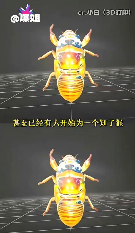 现在山东抓知了猴直接卷到用上热成像、无人机，拿手电竹竿的老一辈完全扛不住这种科技