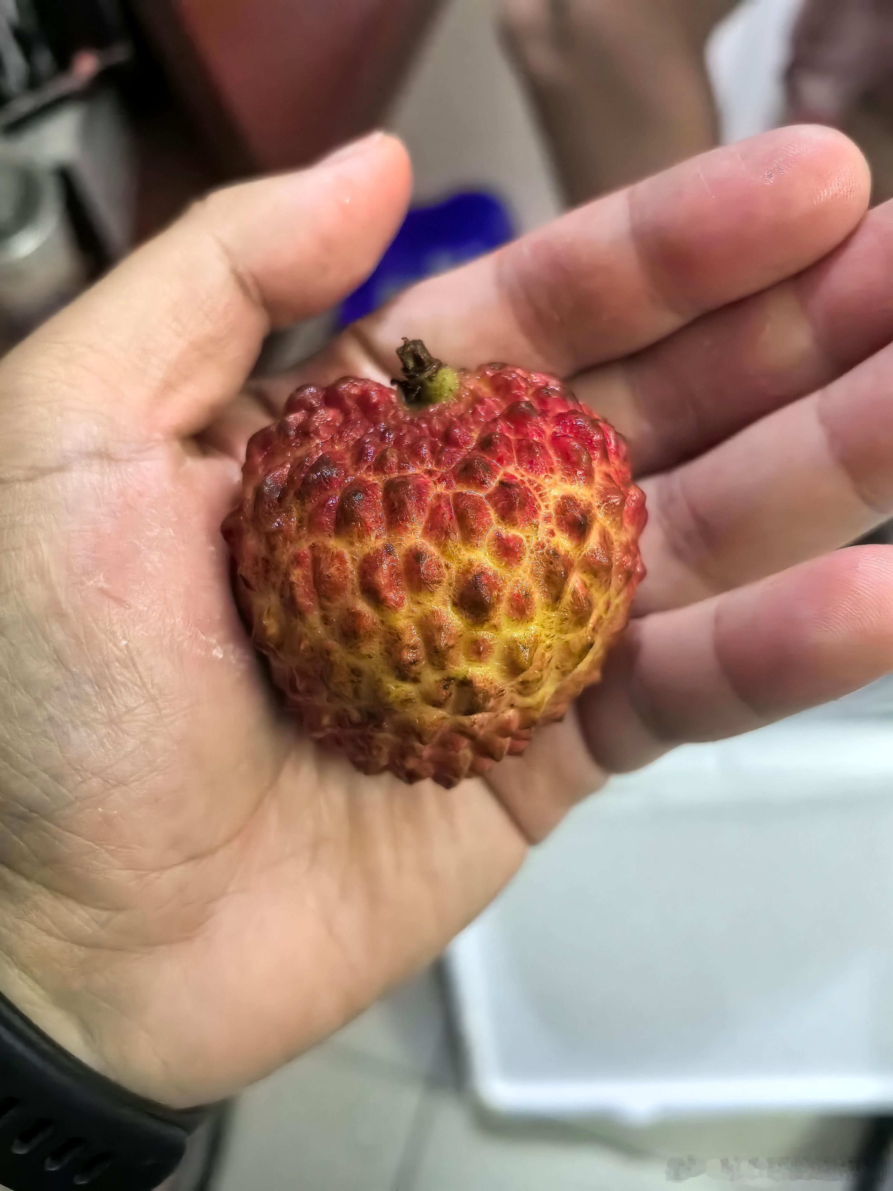 回去跟你老板说，这种水果在我们中国大陆 只是普通货色！  随便买随便吃～ PS 