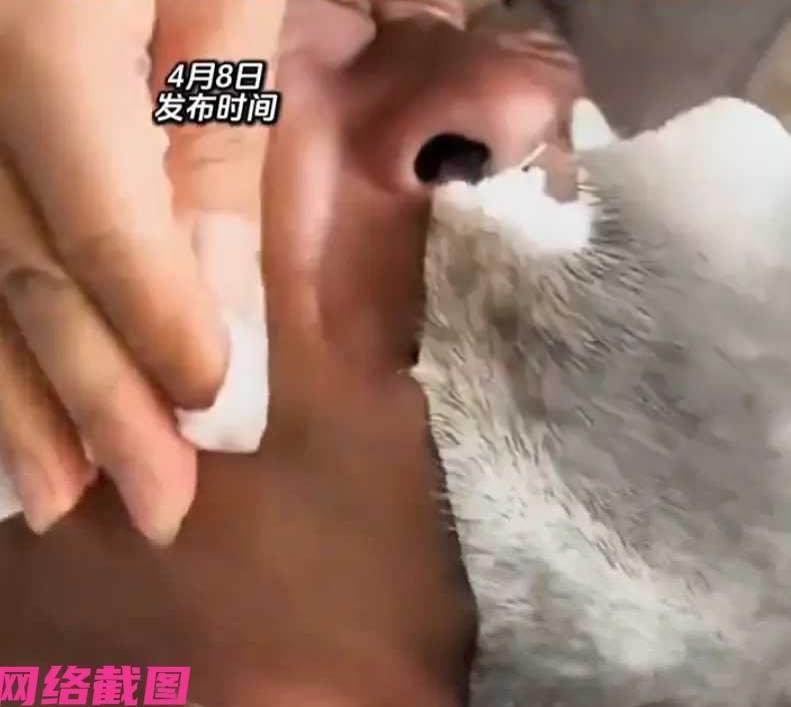 有位大爷觉得自己胡子不太好刮，又硬又密，在理发店时知道这里经常都用蜜蜡拔胡子，于