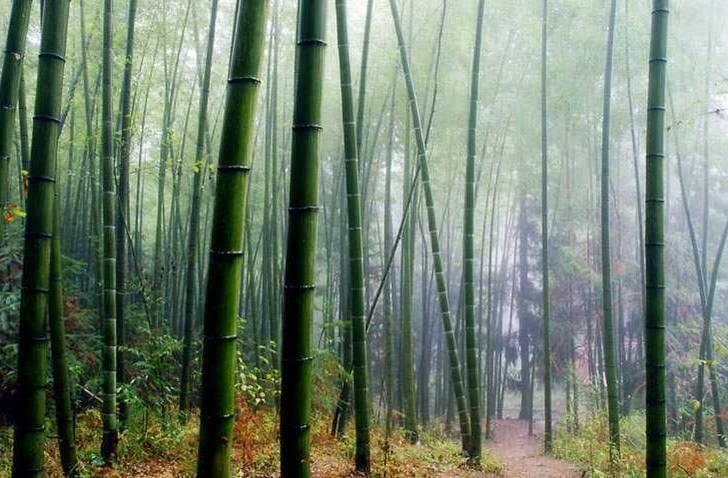 一雨已深秋...
