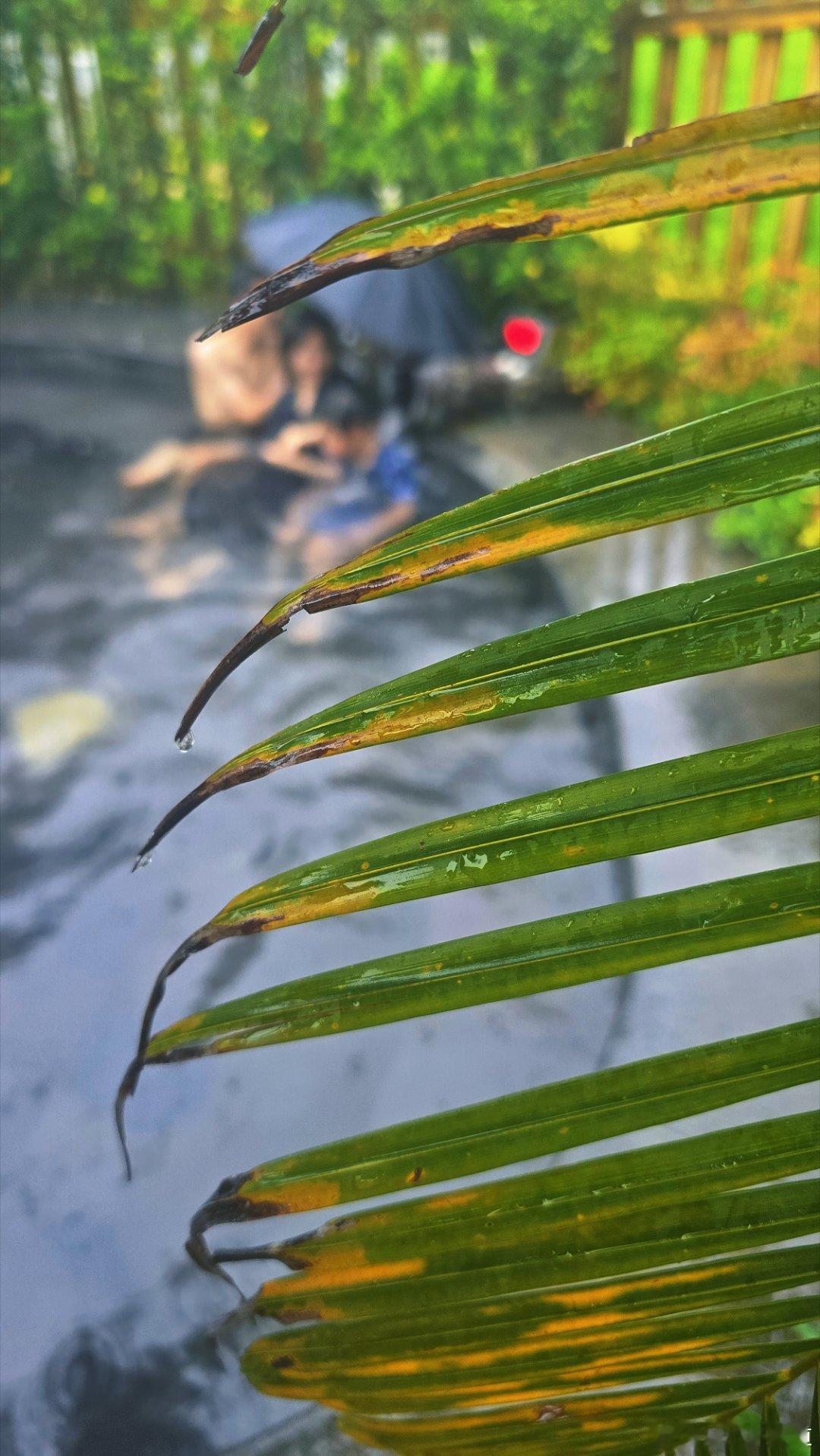 体验一下属于云南人夏天的浪漫，18度的天气泡个温泉，再吃一顿热气腾腾的野生菌火锅