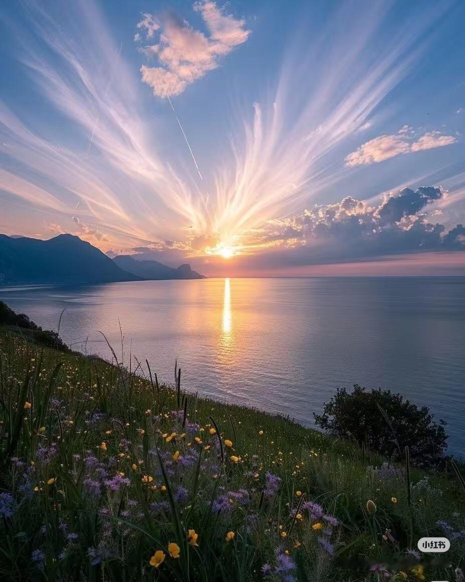 唯美壁纸谁不喜欢