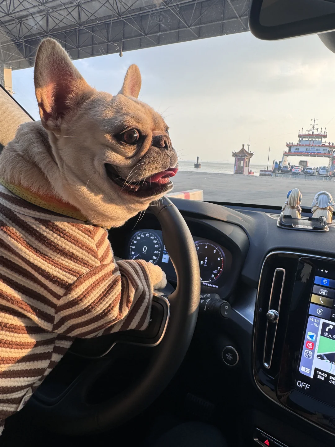 🚢船车小狗都坐到了咯～