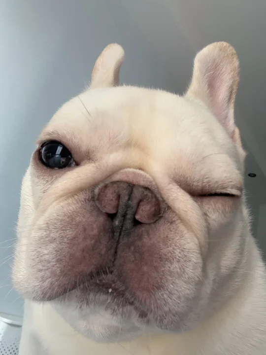 Ooooops！不小心打开了手机前置……