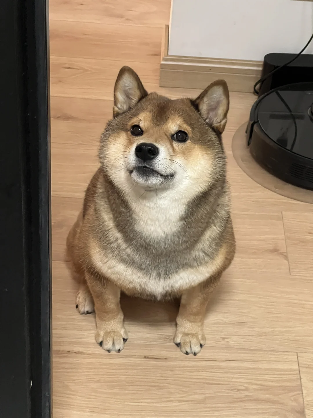 理不直 气也壮：）