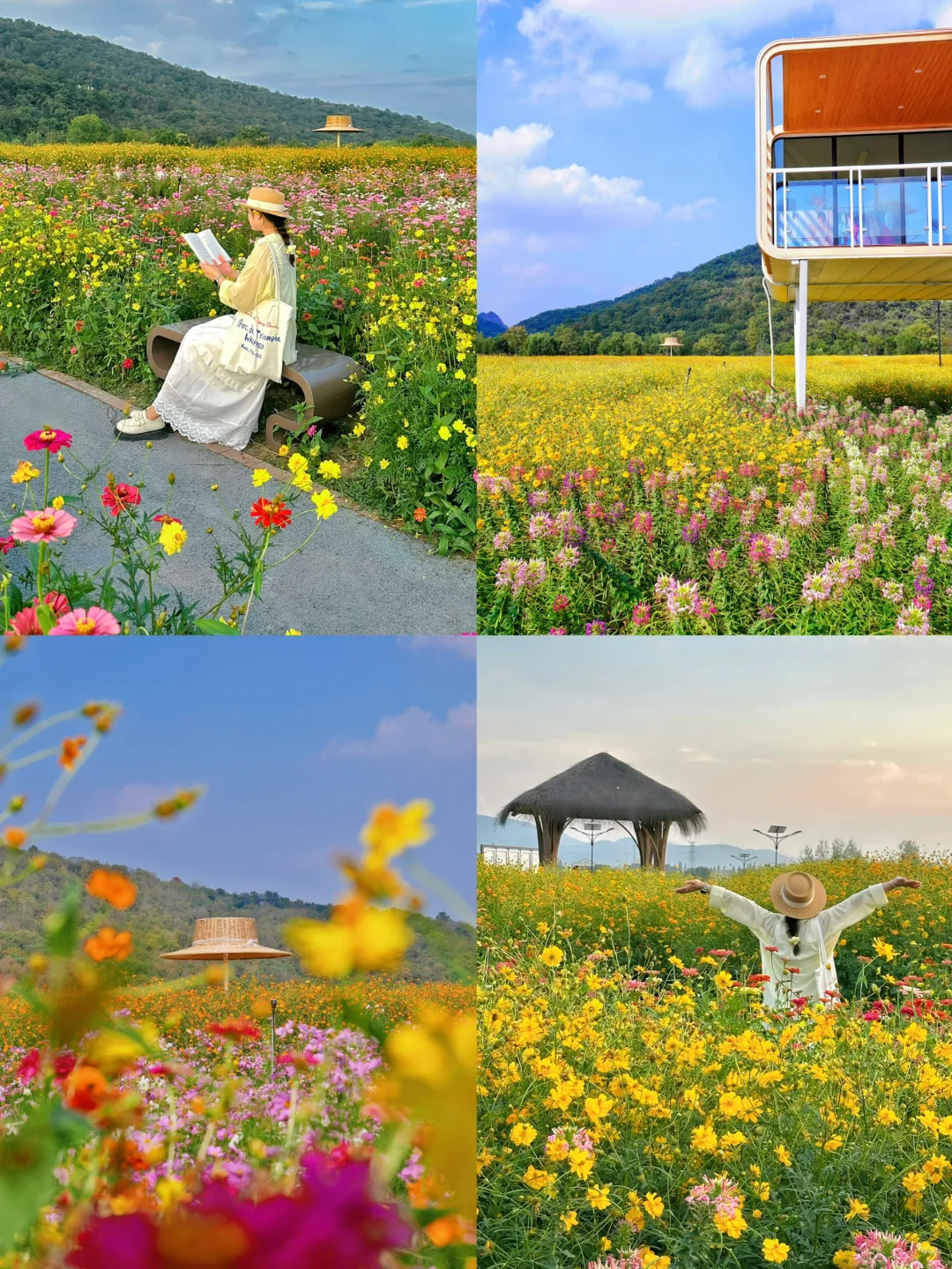 杭州这片免费花海开爆了❗️❗️人少好拍📸