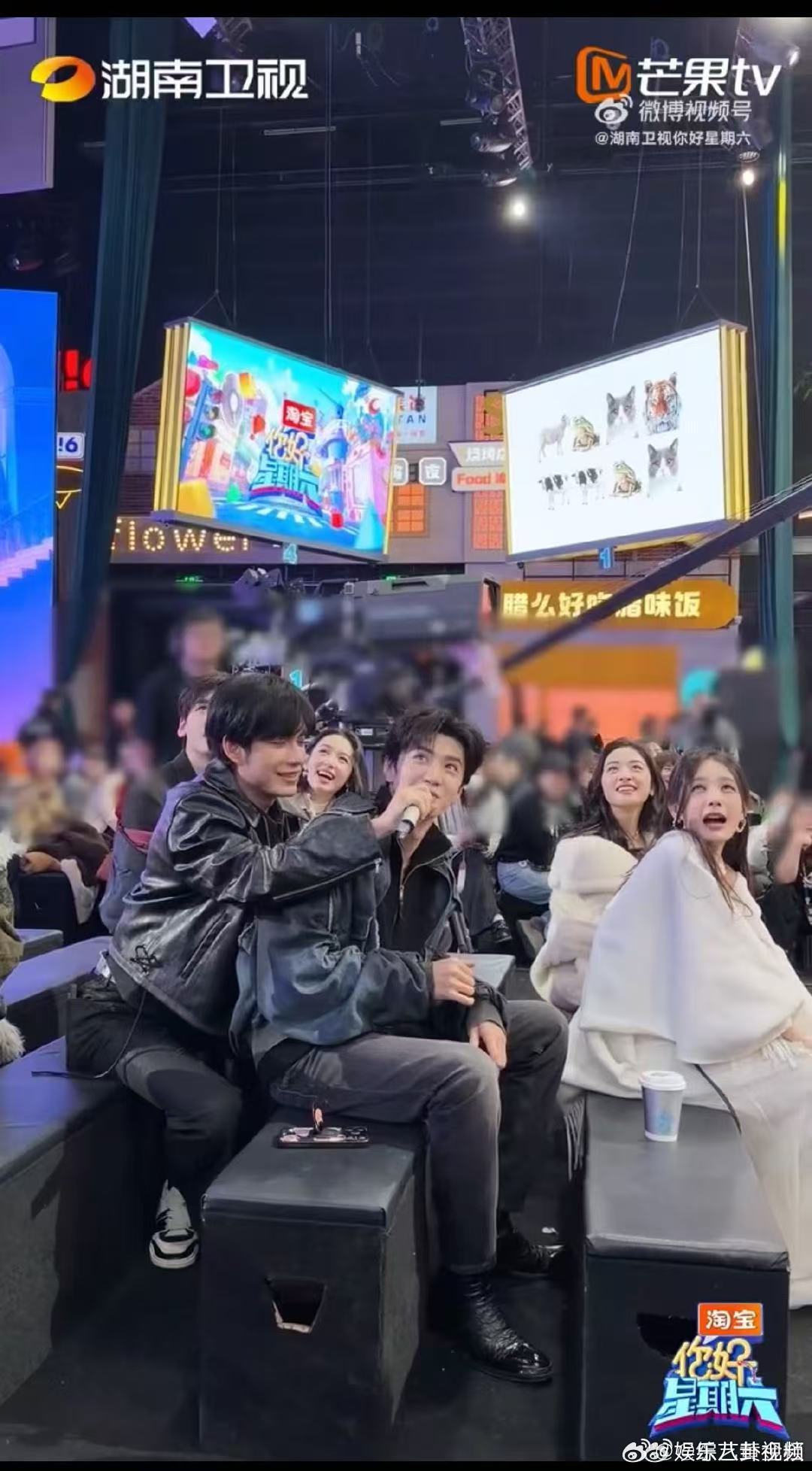 陈哲远张颜齐嘴一个比一个忙你好星期六 陈哲远张颜齐玩游戏主打一个嘴忙手乱，汪喵切