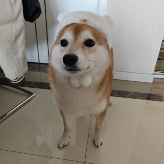 看，我的新帽几