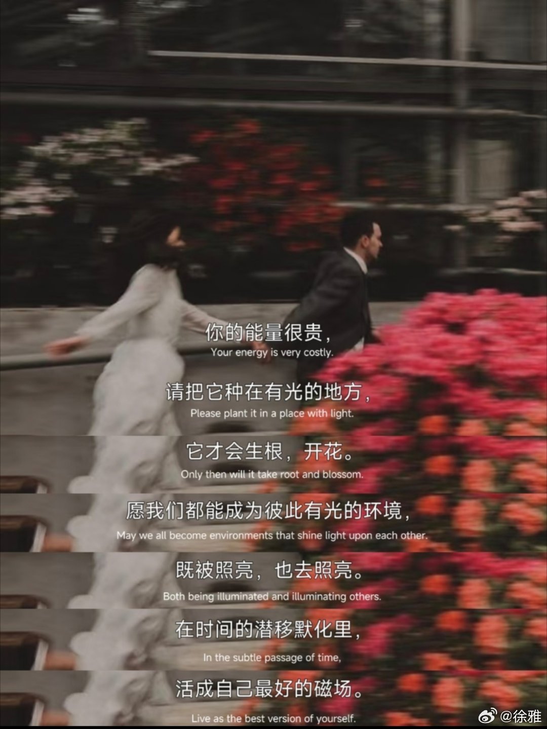 “养好磁场，向阳生长” 