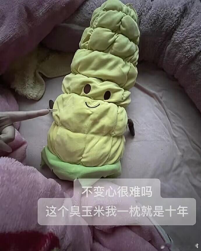 当代大学生能有多长情 ​​​