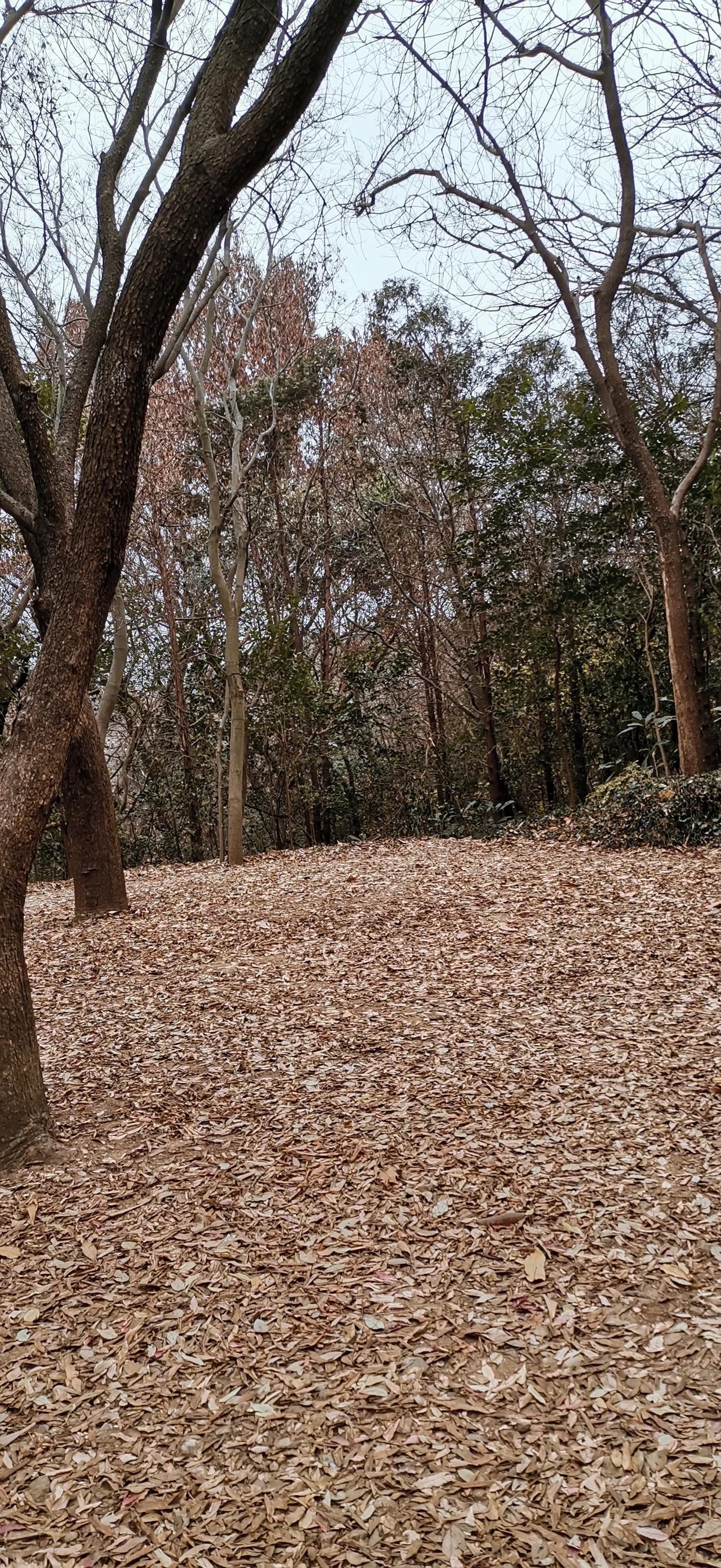 美景随手拍。