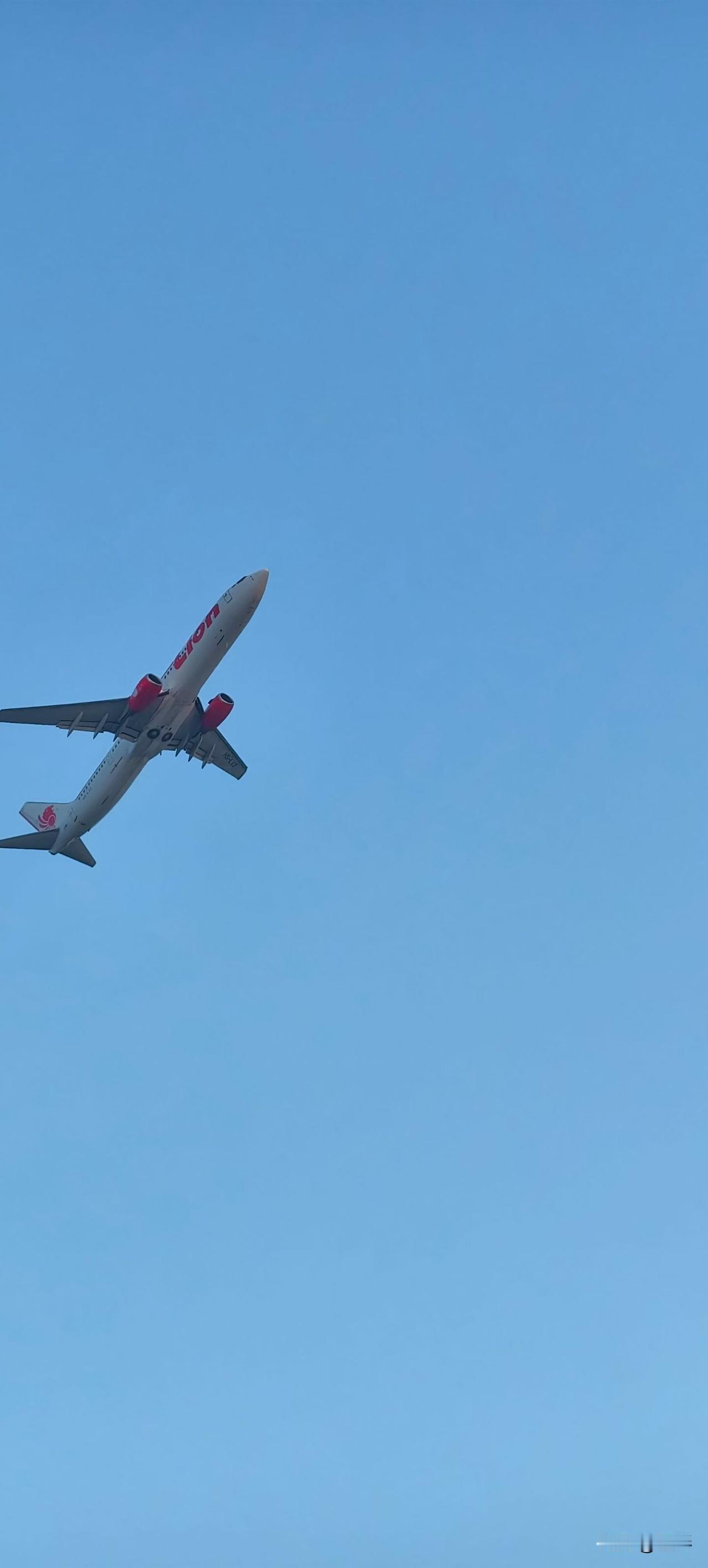 不在任何关系里讨饭吃，是我一生的座右铭，至于人在低谷时拼的是什么？这些年我的人生