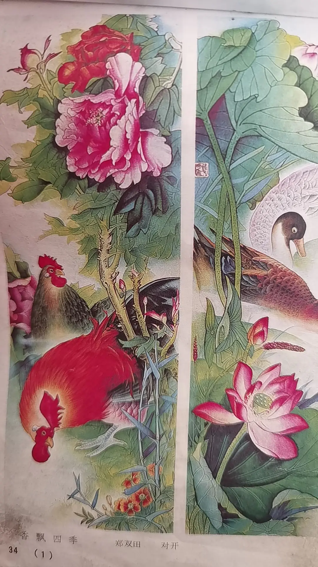 花儿与动物