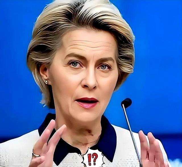 冯德莱恩这回真的玩脱了！本想借制裁俄罗斯敲打中国，结果24小时不到，自家军工命脉