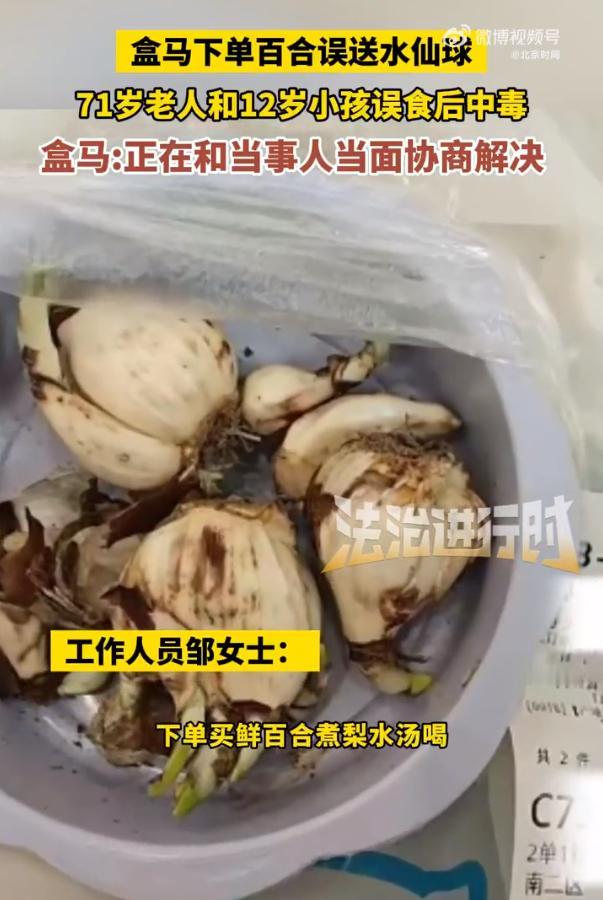 盒马误送水仙当百合致老人孩子中毒，居然说顾客误食也要担责？

北京邹女士在盒马下