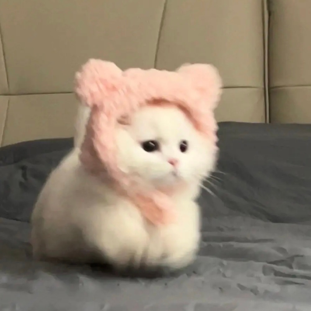 𝙒𝙚𝘾𝙝𝙖𝙩丨可爱猫咪头像₌᳐･֊･₌᳐੭ 🐈 ᶻ 𝘇 