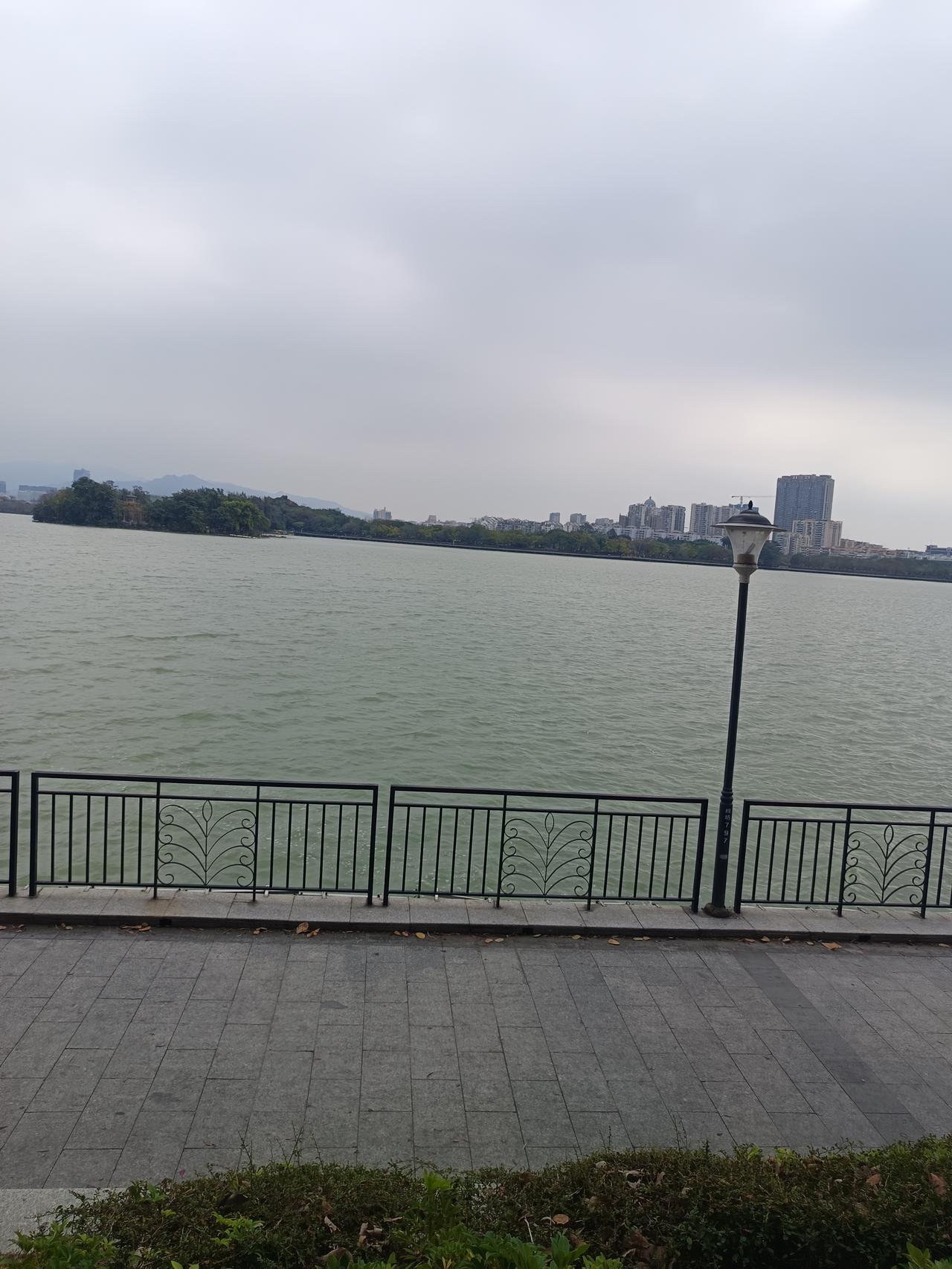 我开始有点理解肇庆人了
肇庆这么完美的四五线城市，谁会不喜欢啊？
不仅是因为有鼎