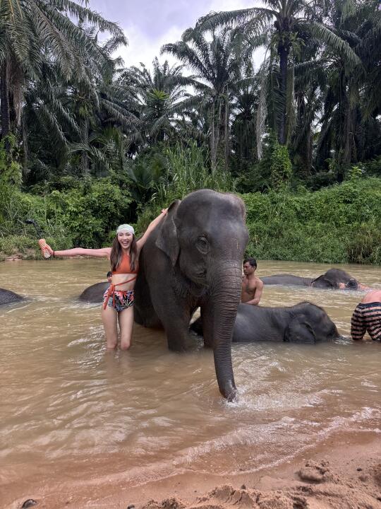 在暴雨里，给大象洗澡是什么样的体验🐘
