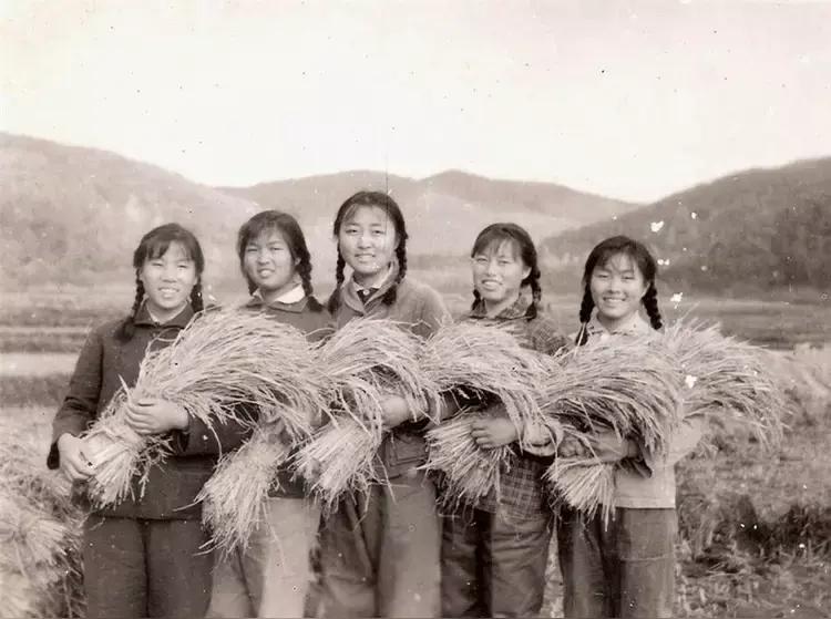 1976年，知青张连成不顾父母反对，迎娶了农村姑娘。几年后，他带着妻儿回到城里。