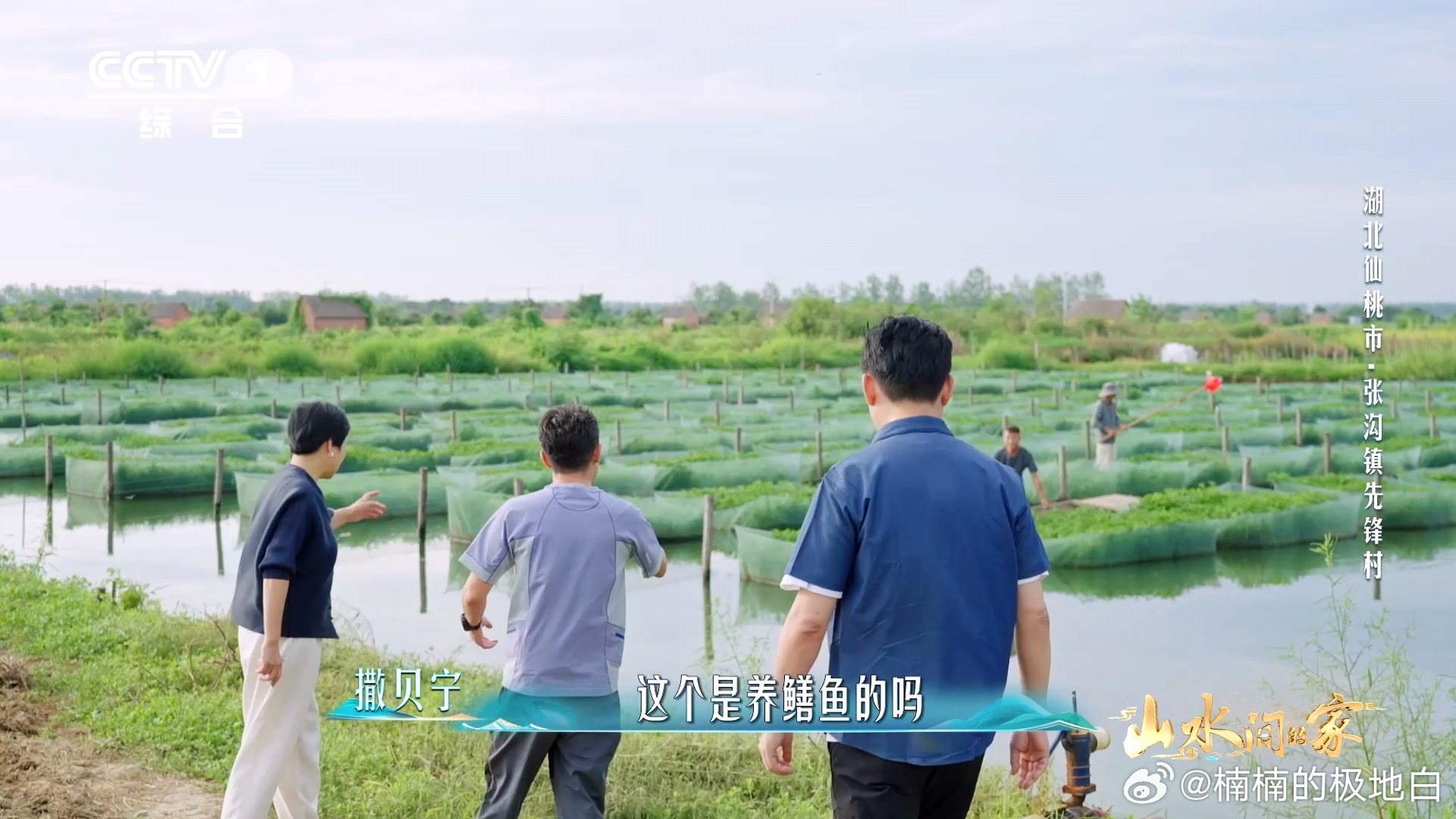 这不是抹茶蛋糕这是黄鳝的家中国乡村藏着巨型几何图案 每一个网箱都是一个微型生态系