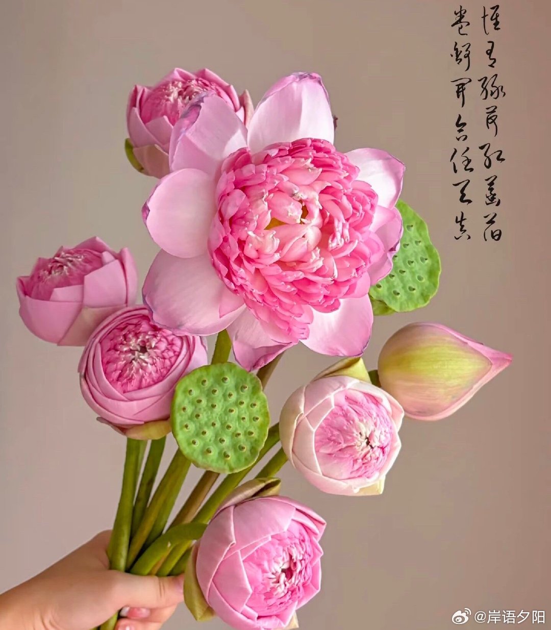 阳光信用[超话]  向善是一种文明，也是一种光明。善良之举，需要人人拥有；善良之