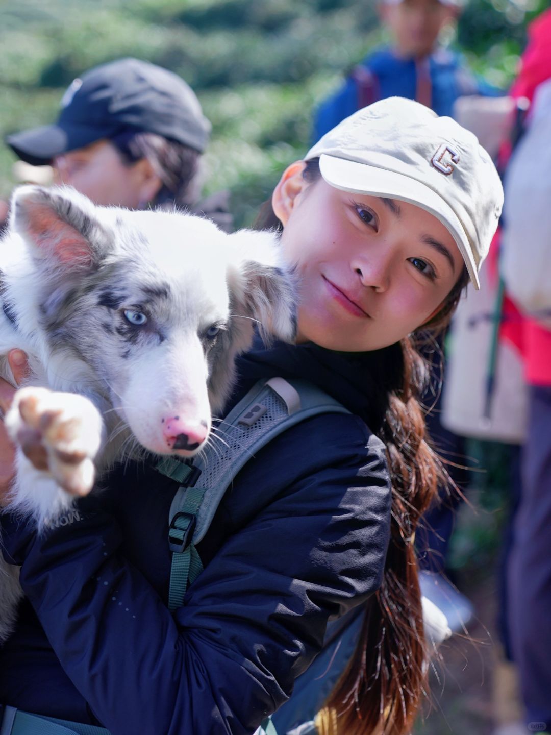 西湖群山徒步｜新狐狸线（新手散步局）🦊