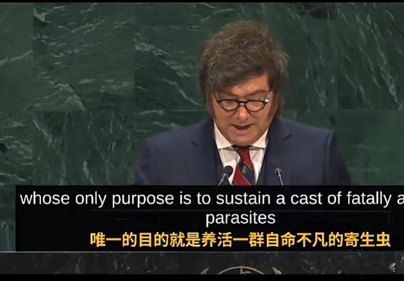 特别是，这个平台容许对联合国的批评，更是有容乃大。像阿根廷总统，直呼联合国是寄生