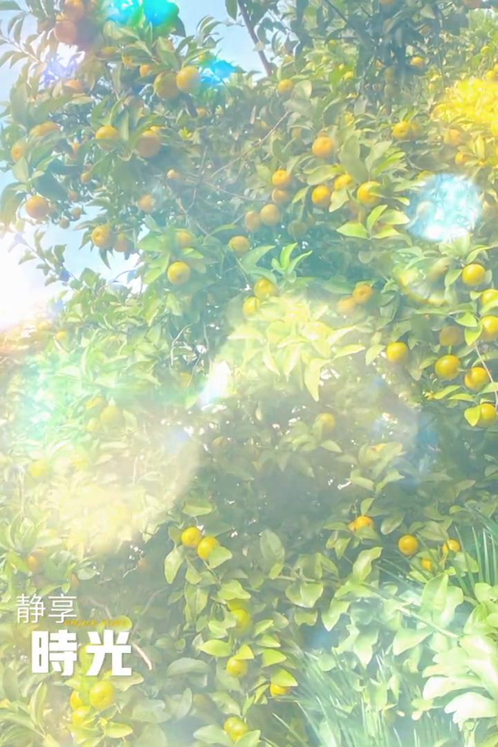 静享时光。
不喝够。