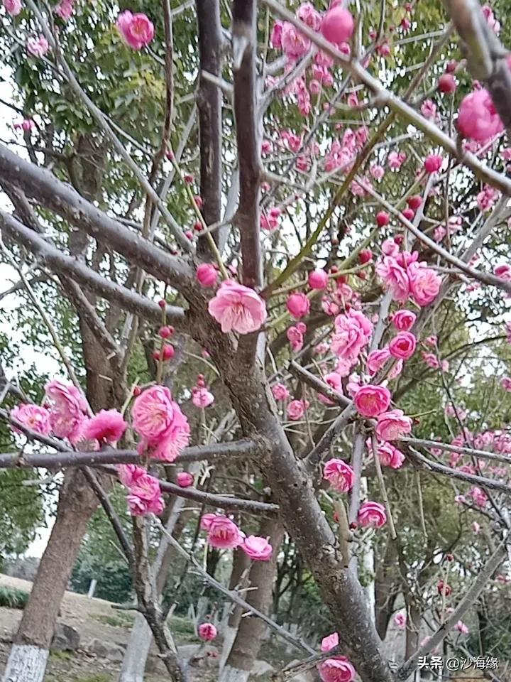 刚刚给朋友打了一个电话聊了聊。我说，都退休了在家干嘛呢？
朋友说，很无聊，在给女