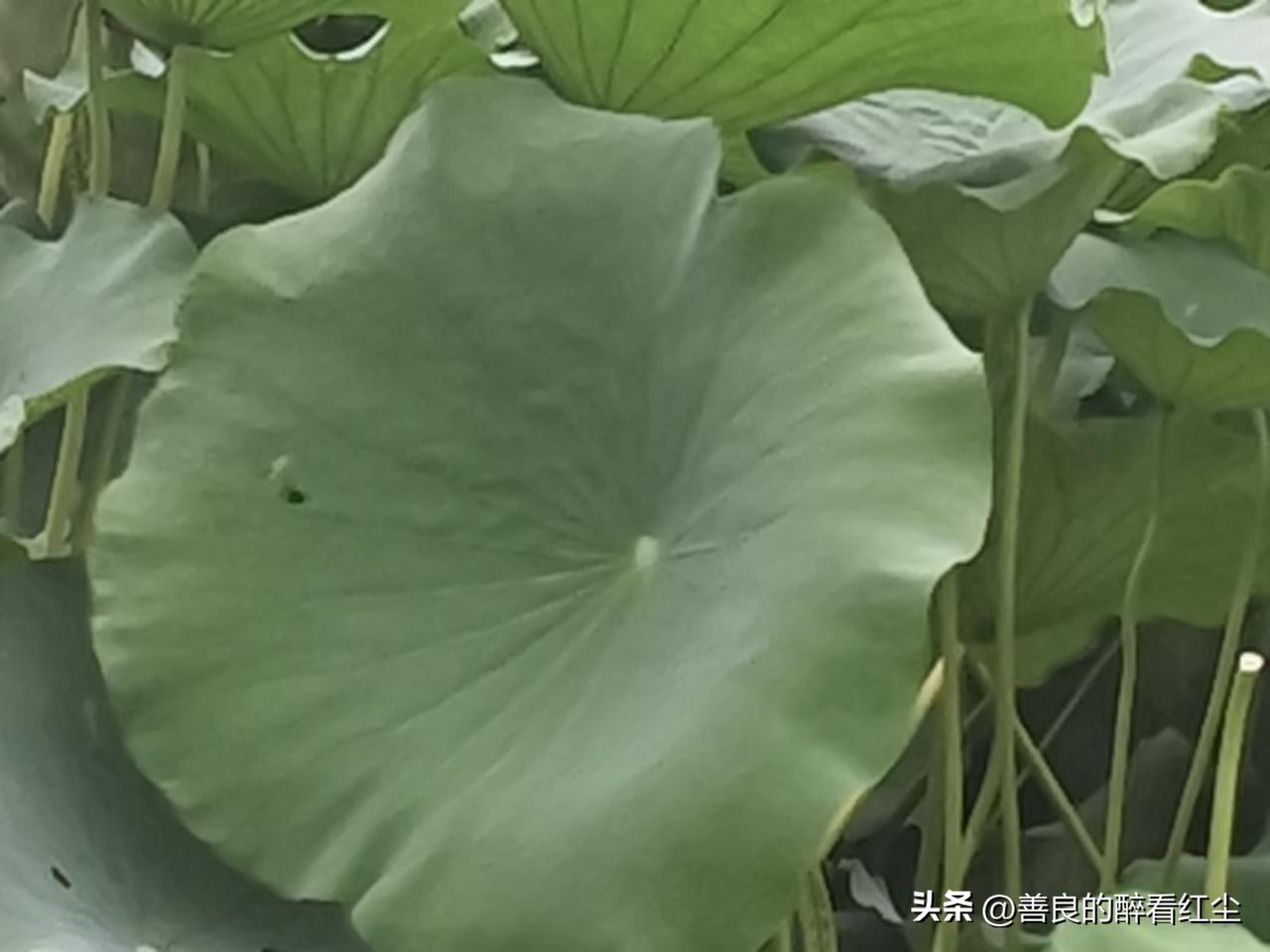 我悄悄告诉中年友友一个和孩子友好相处的秘密。

在外地工作或上学的孩子给你打电话