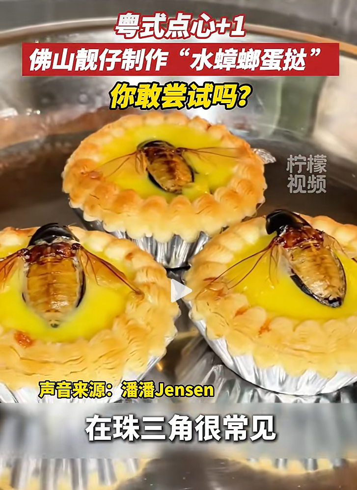 叫龙虱蛋挞不好么？ ​​​