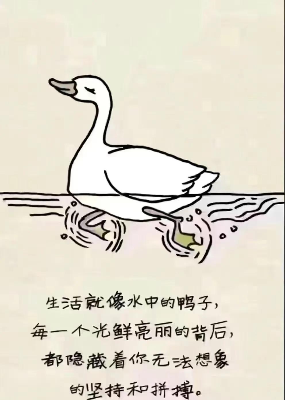 🦆🦆🦆
鸭子定律
安逸需要底气
悠闲需要实力
你所看到的别人
那些漫不经心