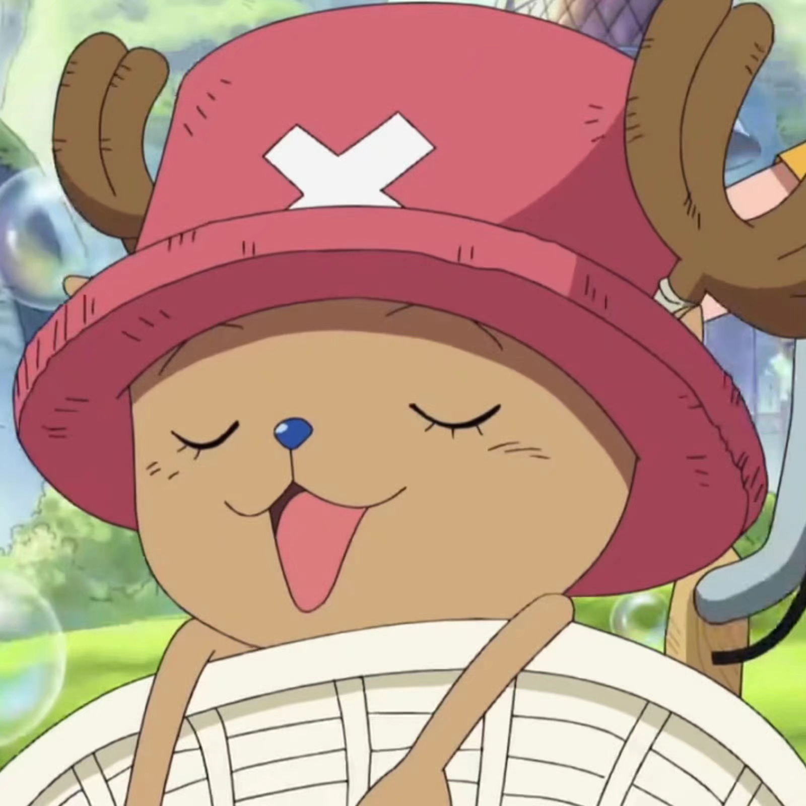 12月24日 乔巴生日🎉 