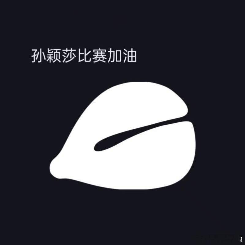 孙颖莎加油孙颖莎加油孙颖莎加油！！！ ​​​