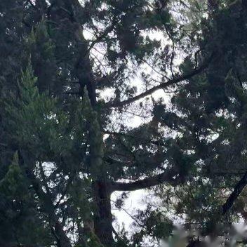 东方位也有着紫气东来的说法。如果座位朝东，这也是一个有利的选择。面向东南象征着有