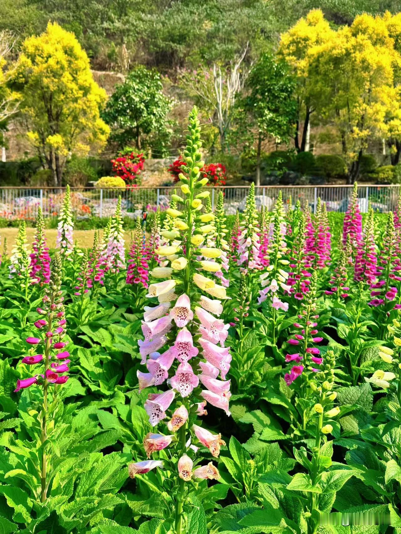 世界上没有忠诚，只有走投无路，女人无所谓正派，是因为经受的诱惑不够大。男人无所谓