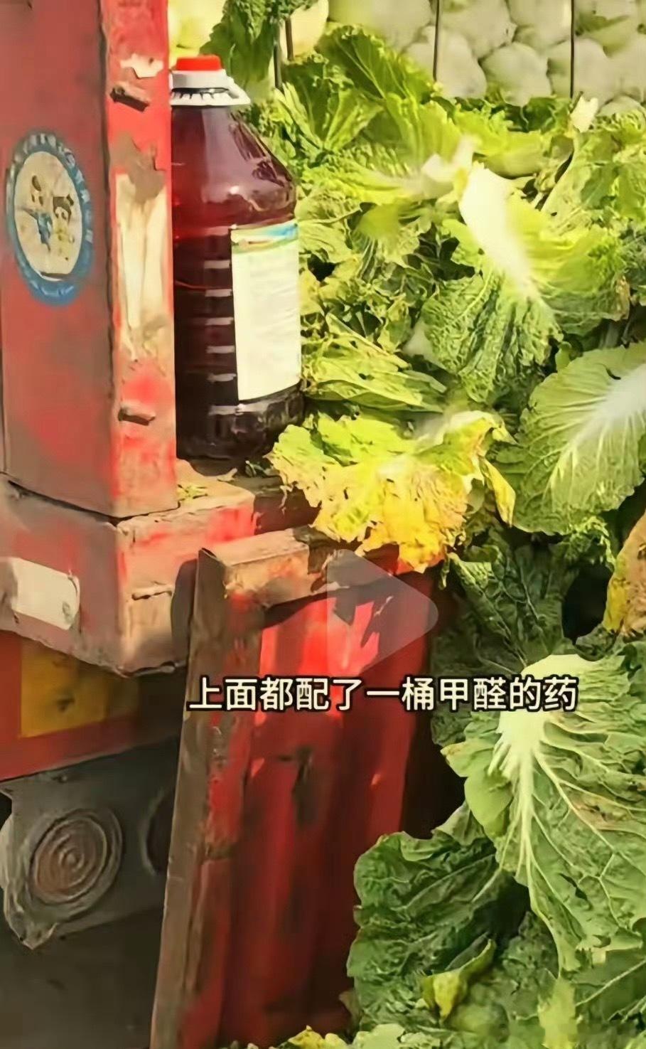 甲醛白菜希望重视起来吖，举一反三，现在只发现白菜，菜心？芹菜？韭菜？菜花？………