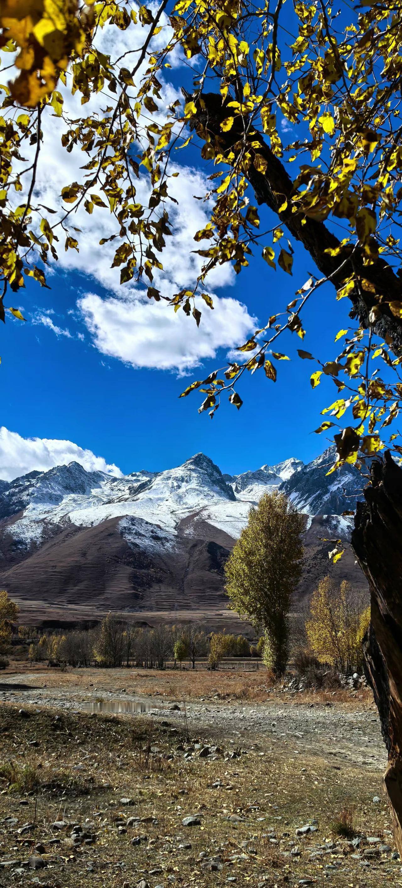 川西美景 原创作品 雪山🏔 感受大自然 探索甘孜的甘孜