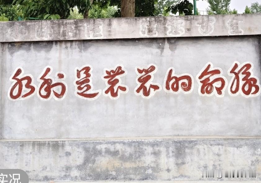 在农村田间看到的，能全部认出来的一定是民间高手