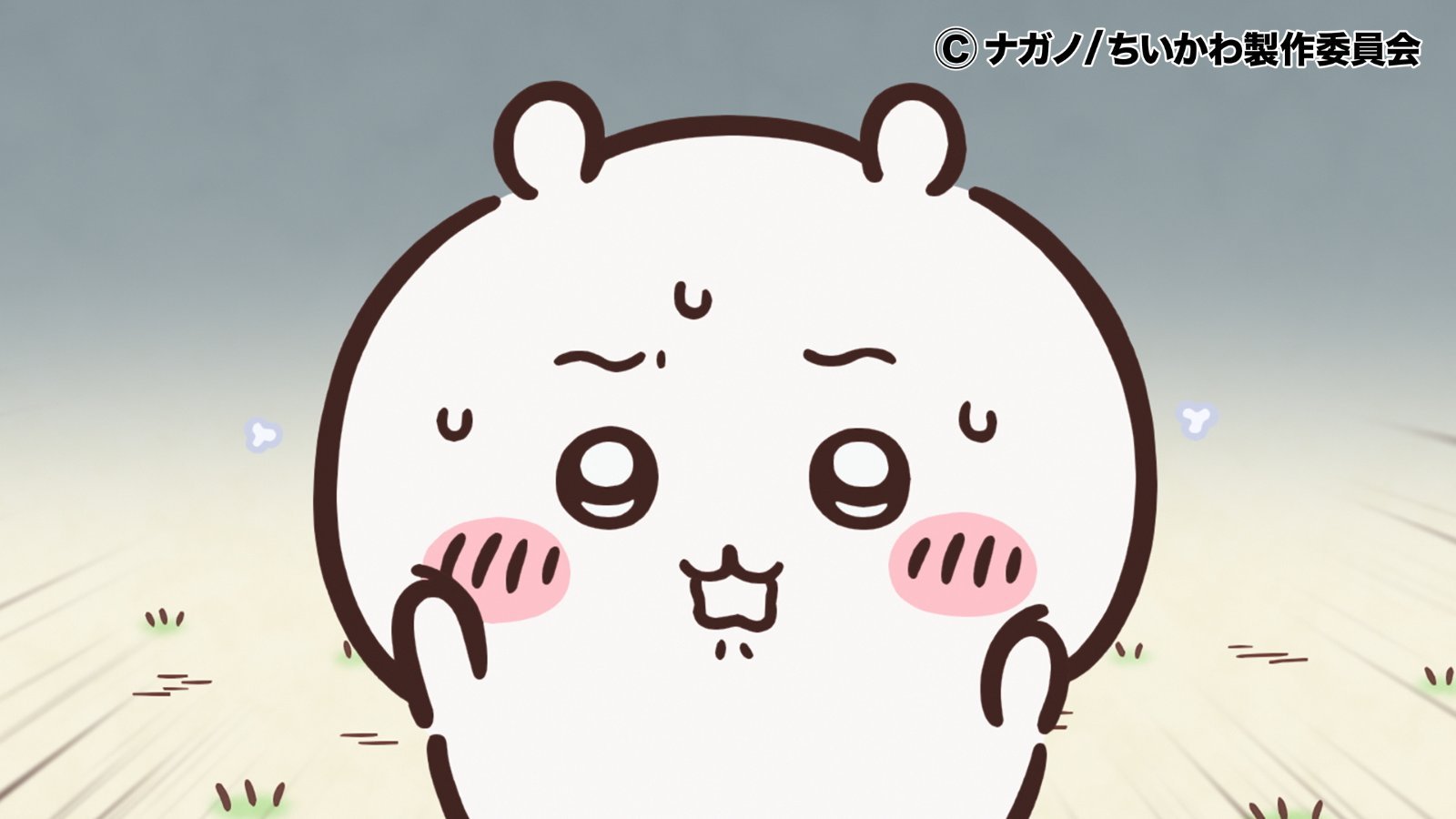 ┇动画预告发布┇➠明天（11月26日）『ちいかわ』动画更新第 223 话➠ ちい