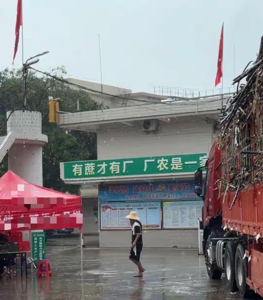 全网刷屏！广东这家暖心糖厂火了，几百辆货车排队送蔗，老板一句话圈粉无数
 
谁也